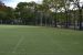 baseball outfield view -soccer field.
